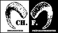 Tierpräparation Fischwenger